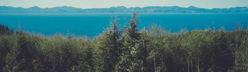 Unauth title rApiinCJ